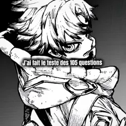 Les 105 question