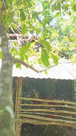 lagu lampung