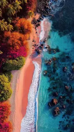Paradise Beac