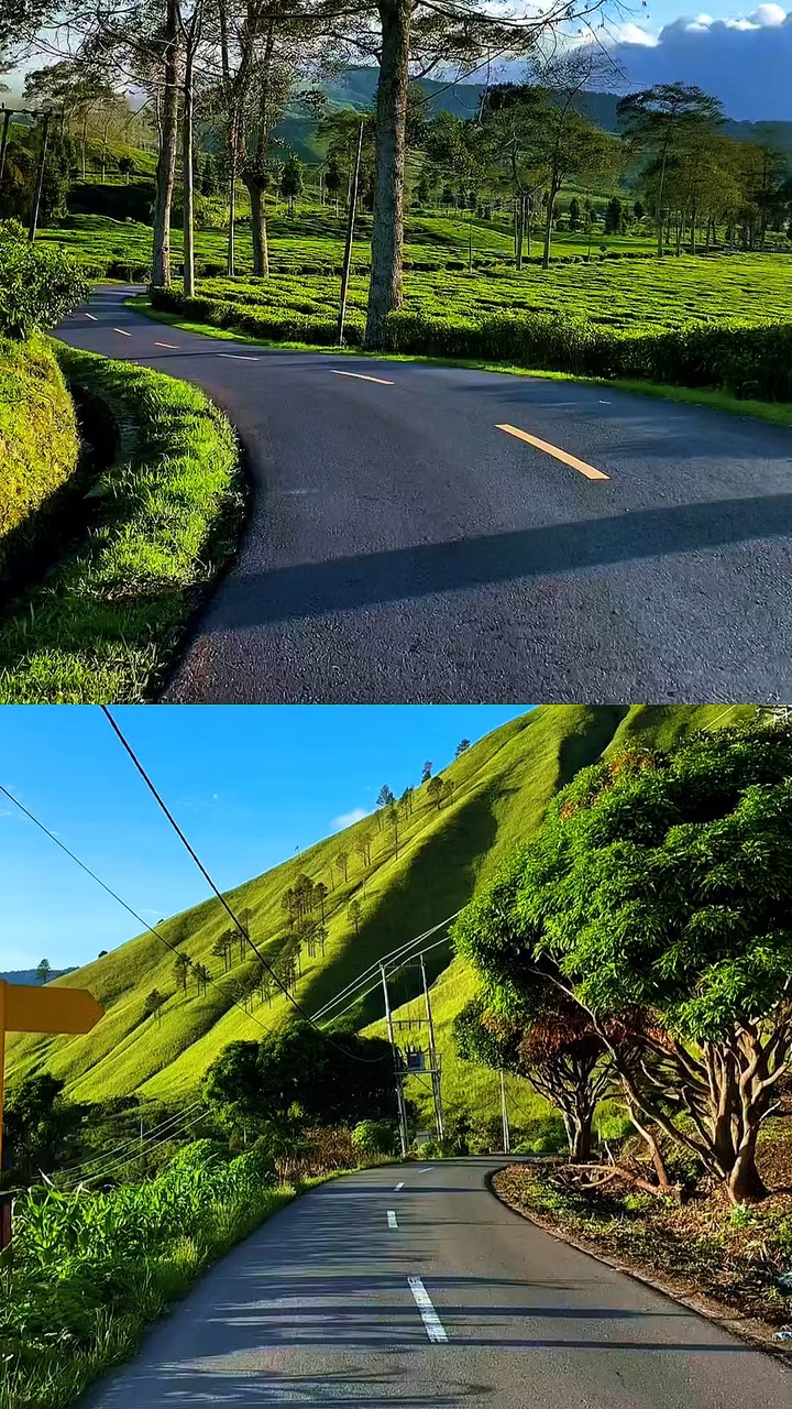 2 vidéos kolase