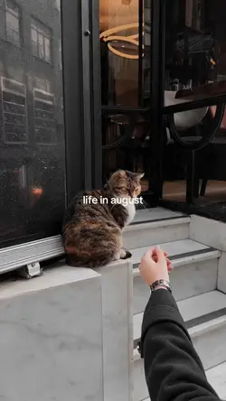 life in august 2026