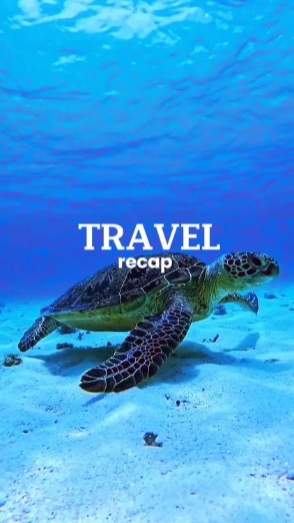 TRAVEL RECAP 
