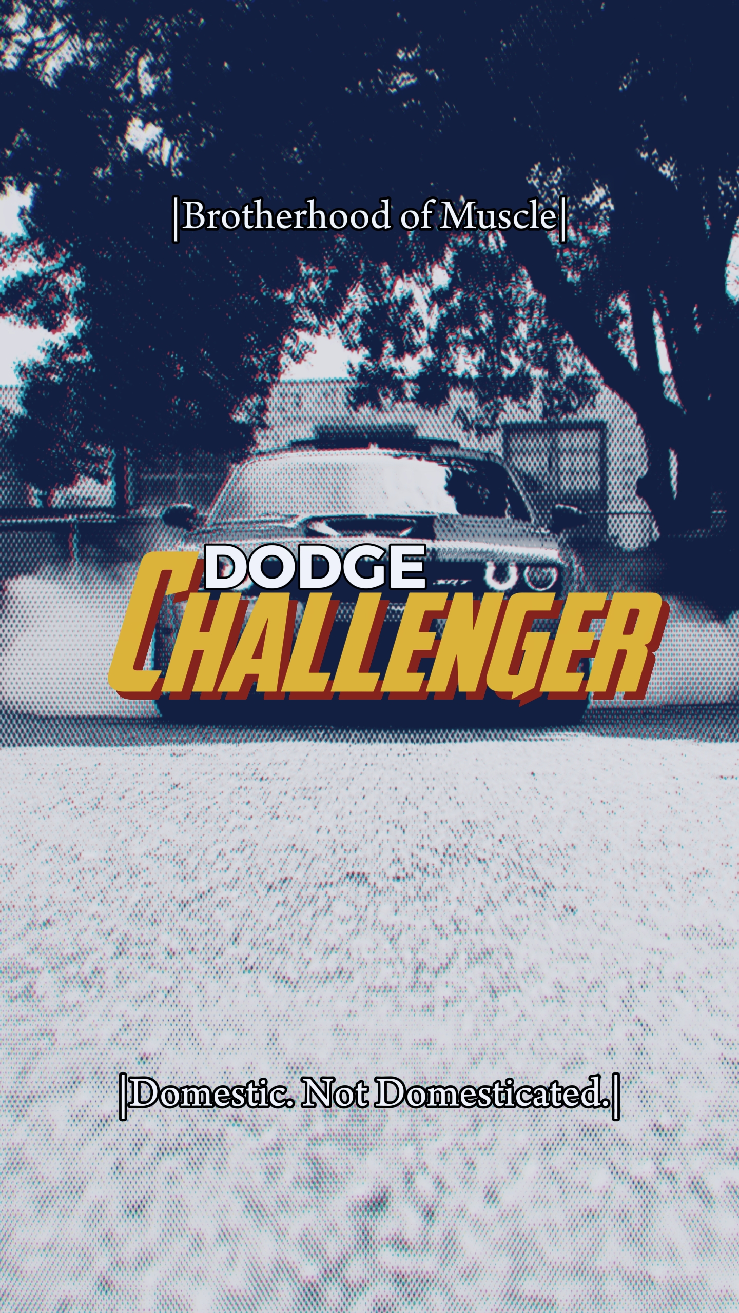 DodgeHellcat montage