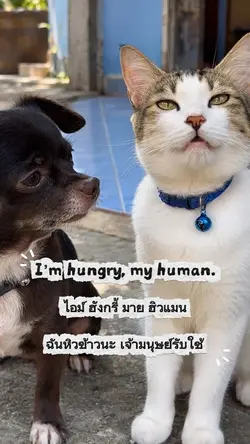เรียนภาษาอังกฤษ