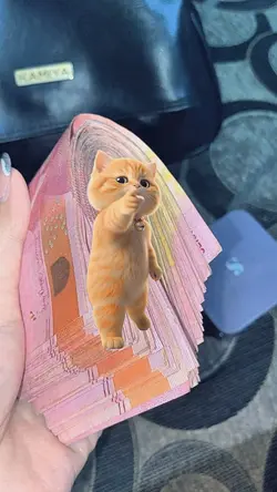 aesthetic
