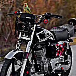 my dream 