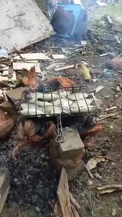 bakar bakar ikan
