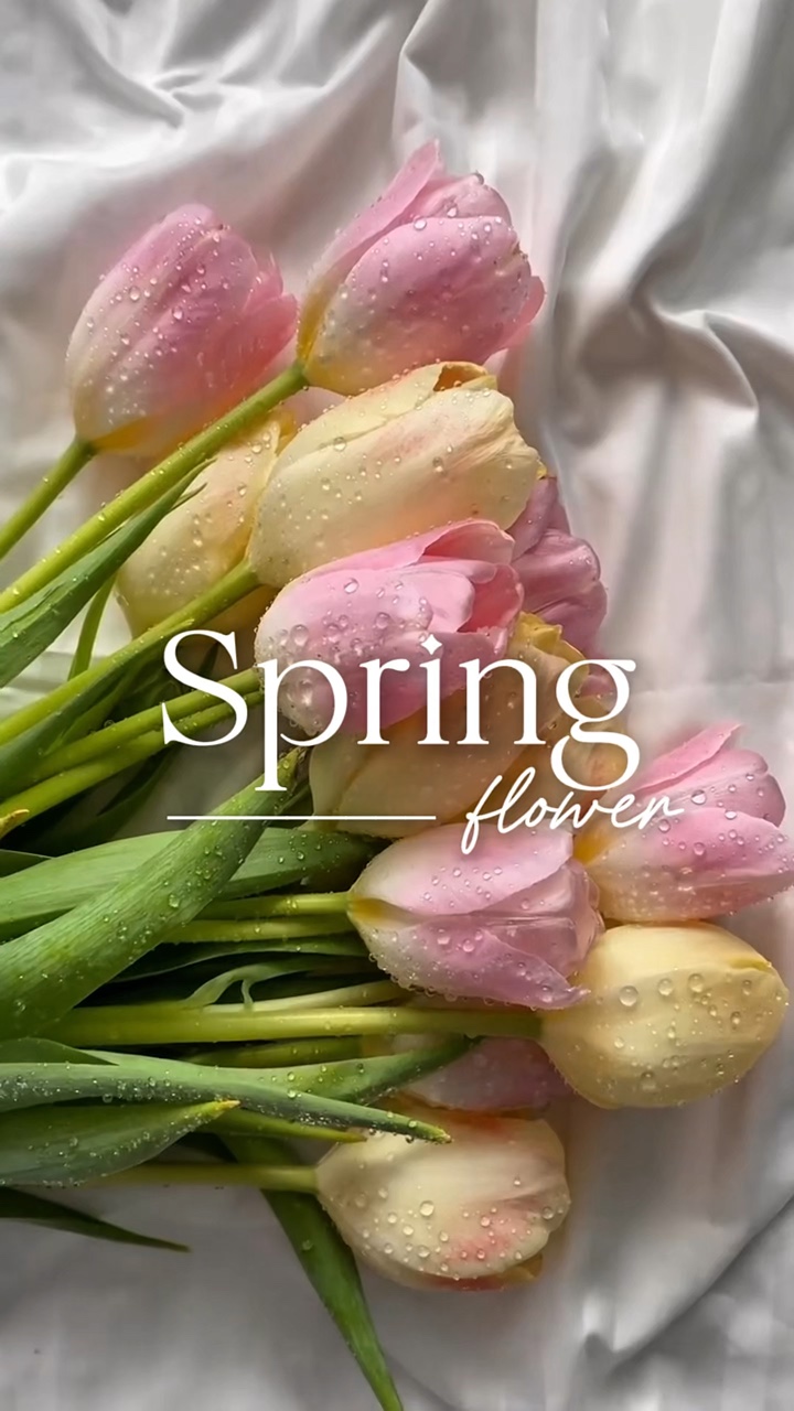 봄 꽃 🌷