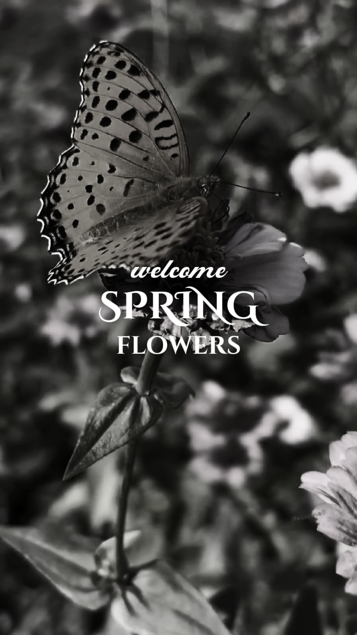 FLORES DE PRIMAVERA