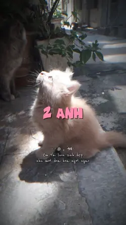 Em xinh như đóa hoa 