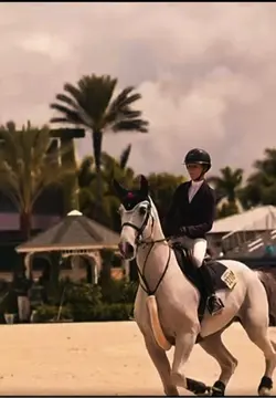 Horse edit Overall 
