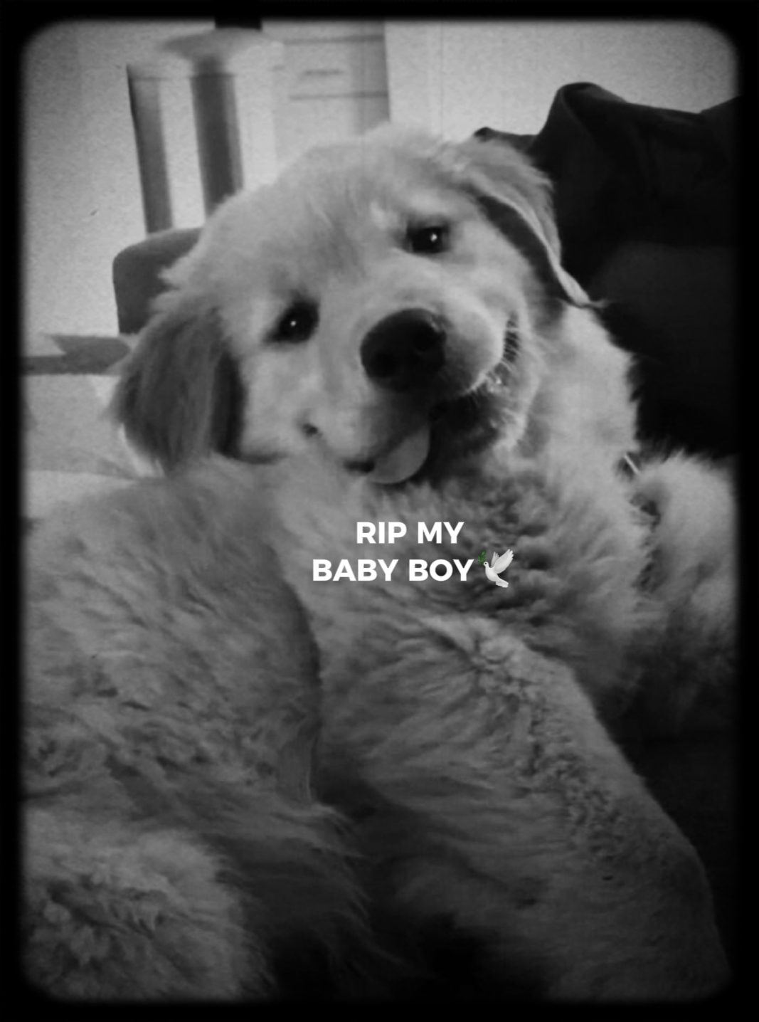 Condolencia 