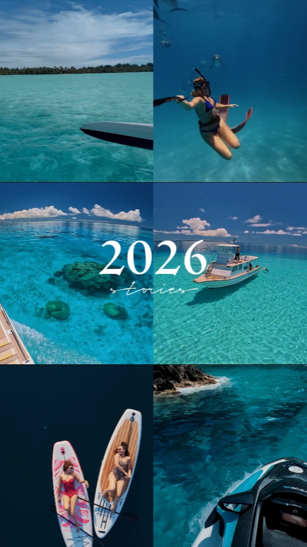 2026 stories