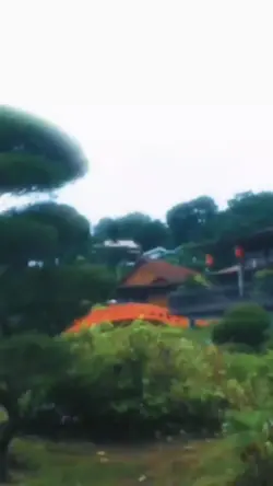 rungkad jepang 