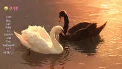 TUM MIL GAYE 🫠