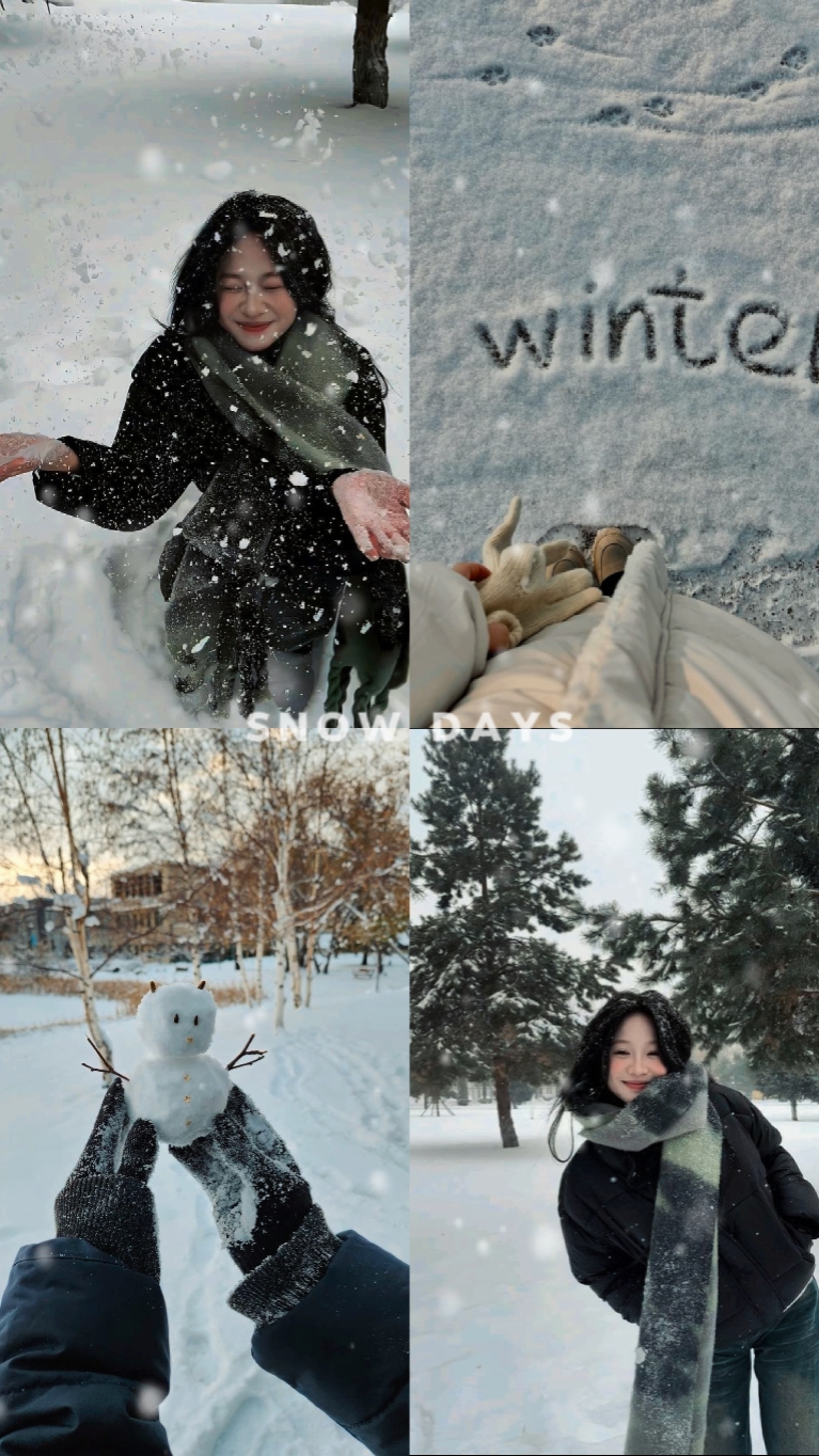 snow 4 grid