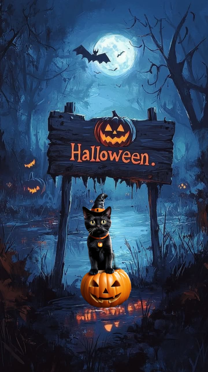 Hallow cat