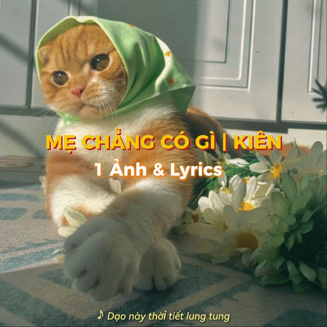 Mais chang có gius