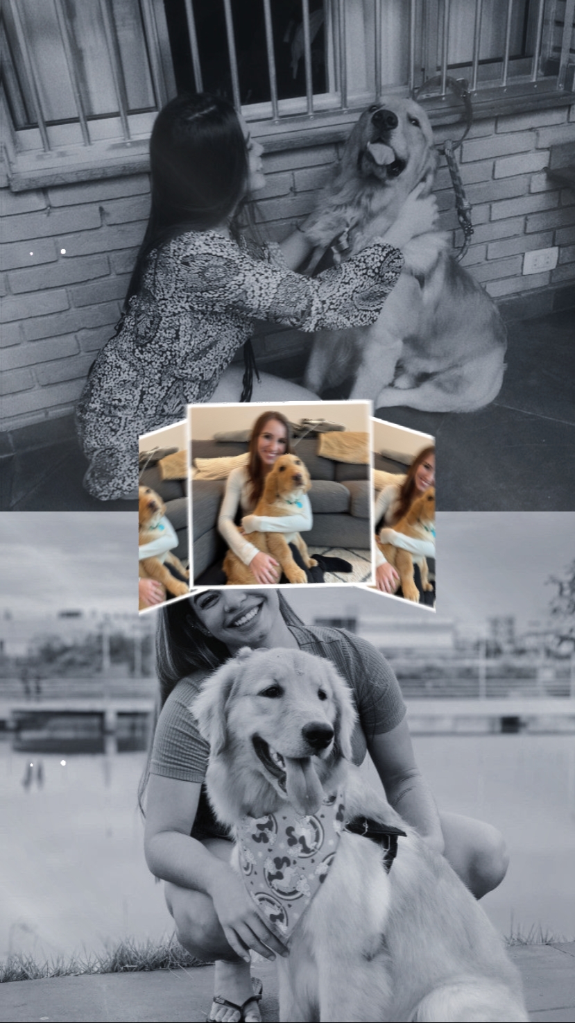 Köpeğim