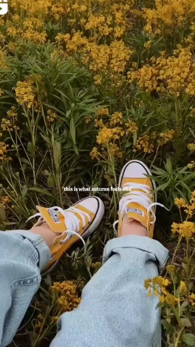 Autumn Feels like