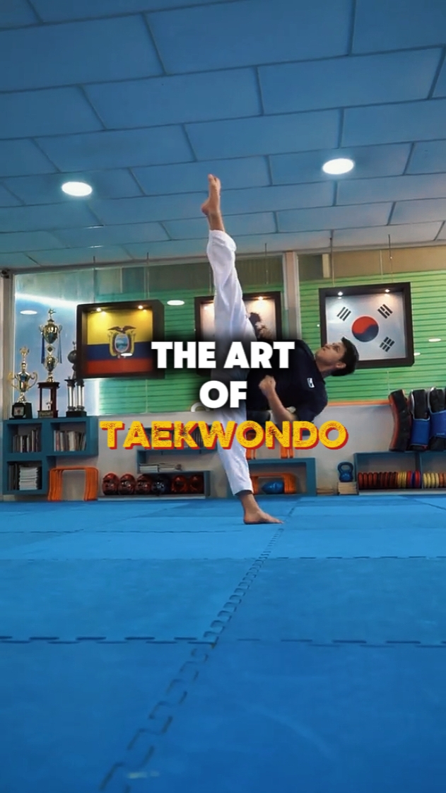A Arte do Taekwondo