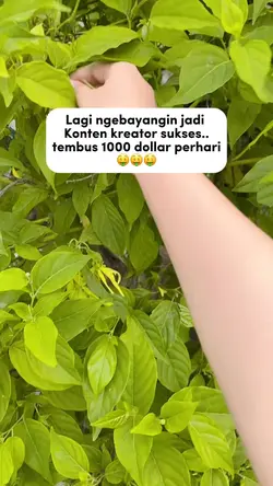 Konten fbpro