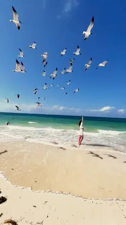 Slowmo aesthetic
