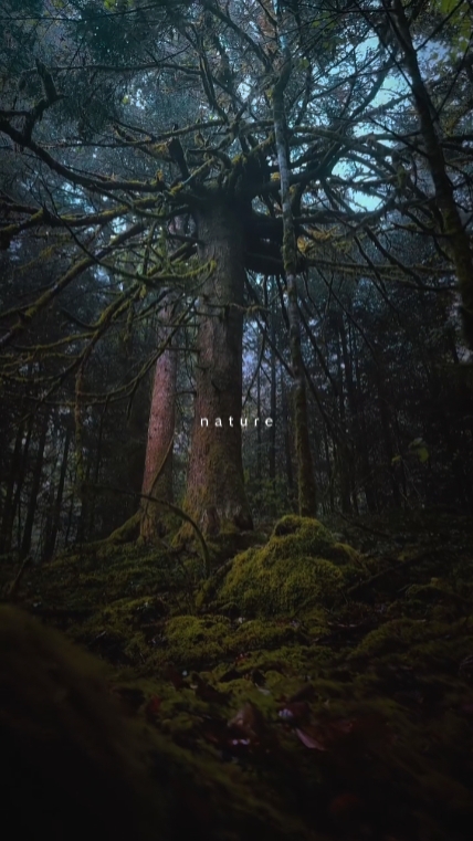 nature