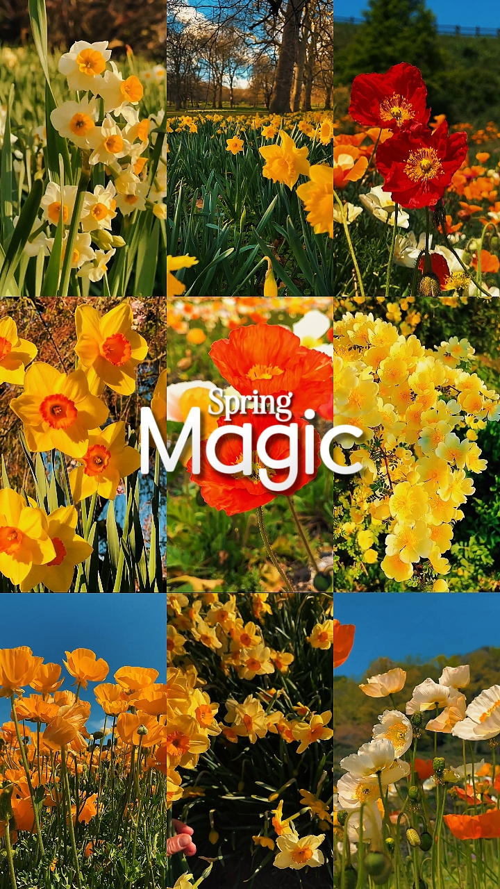 Magia de primavera