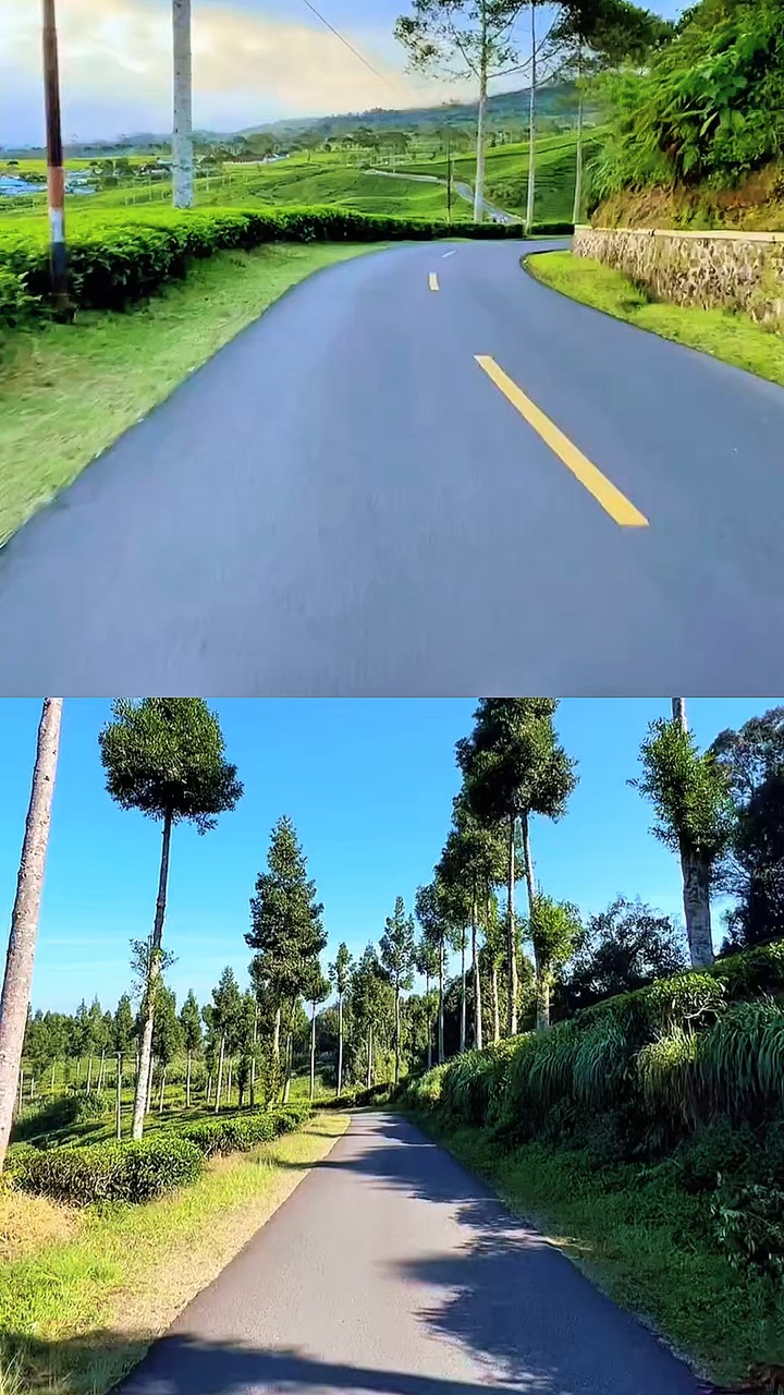 2 video collage