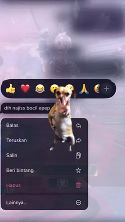 DIH BOCIL EPEP