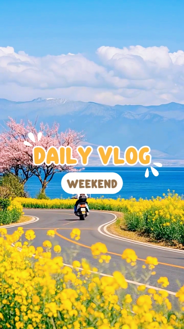 DAILY VLOG