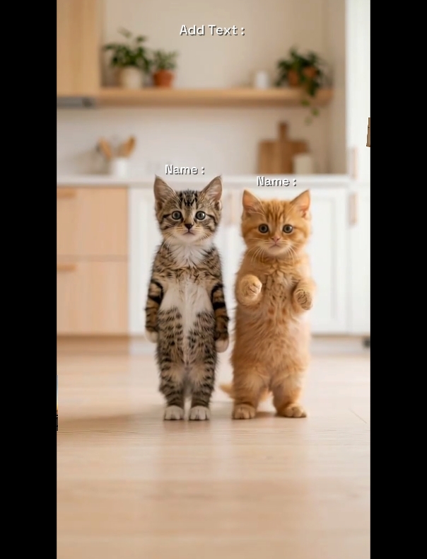 Tendência De Gato De Dança