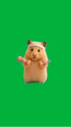Hamster 