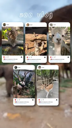 mini vlog zoo