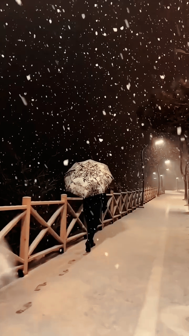 Queda de neve # 1
