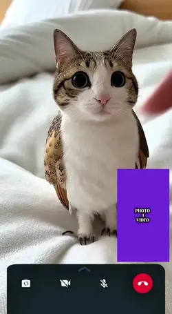 Us Cupcat mastar