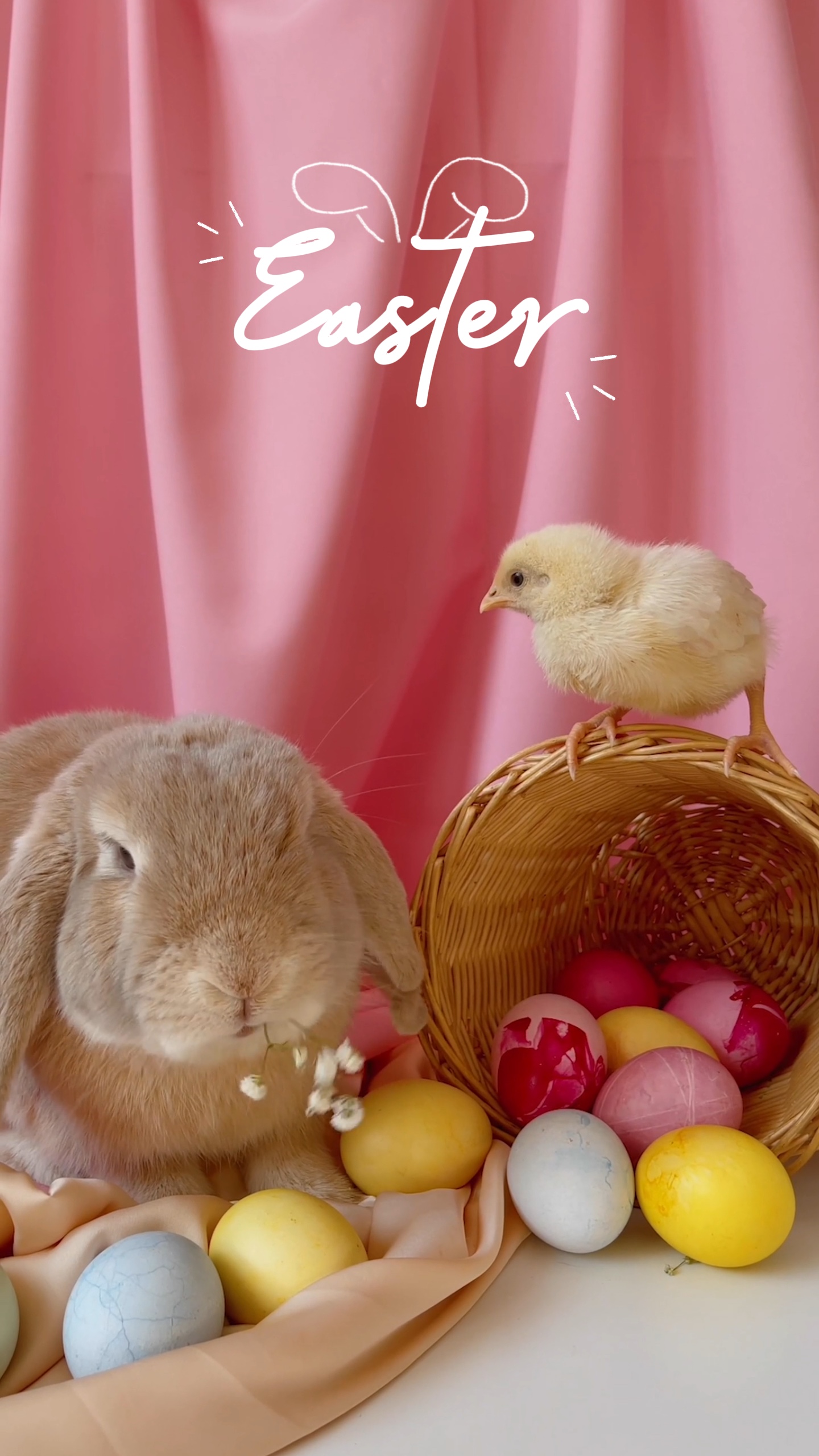 Feliz Páscoa 🐰