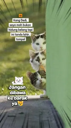 Menolak kebarak