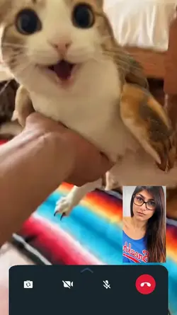 who said meowl is Ai
