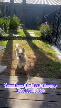 Rescue dog Bel