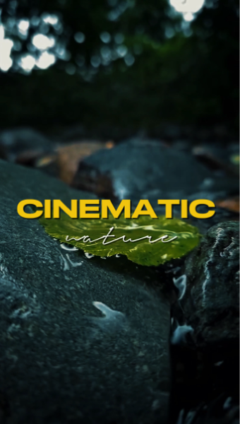 cinématique