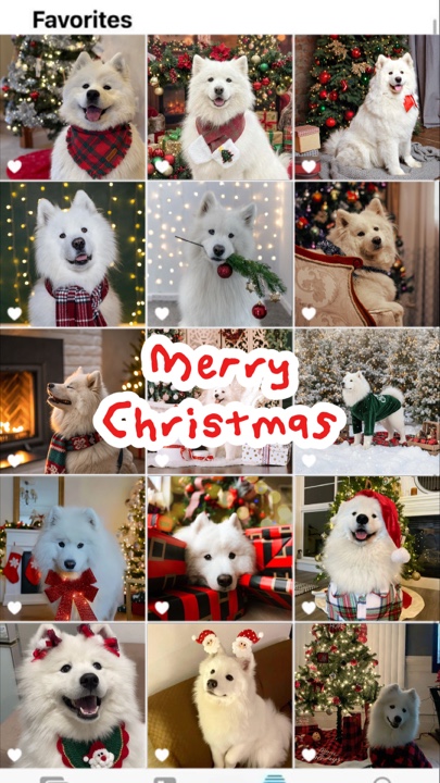 Animal de Noël