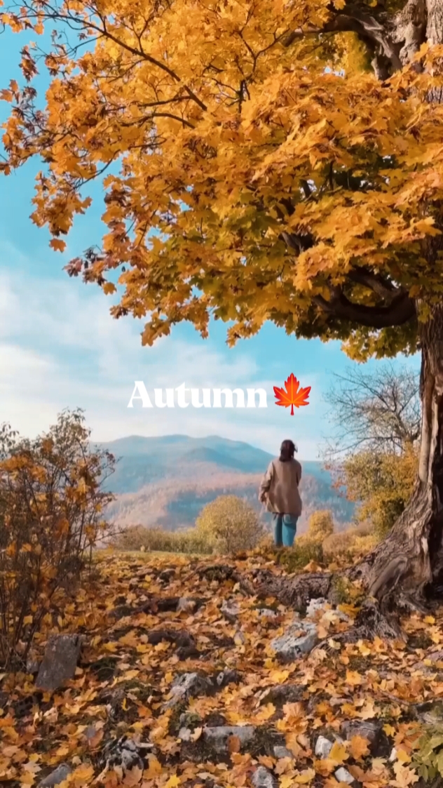 HERBST