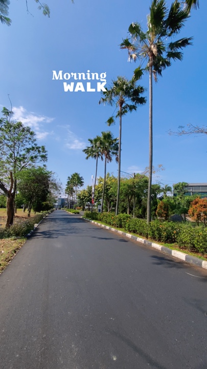 Morning walk