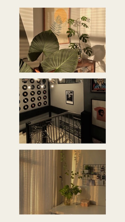 COLLAGE BILD