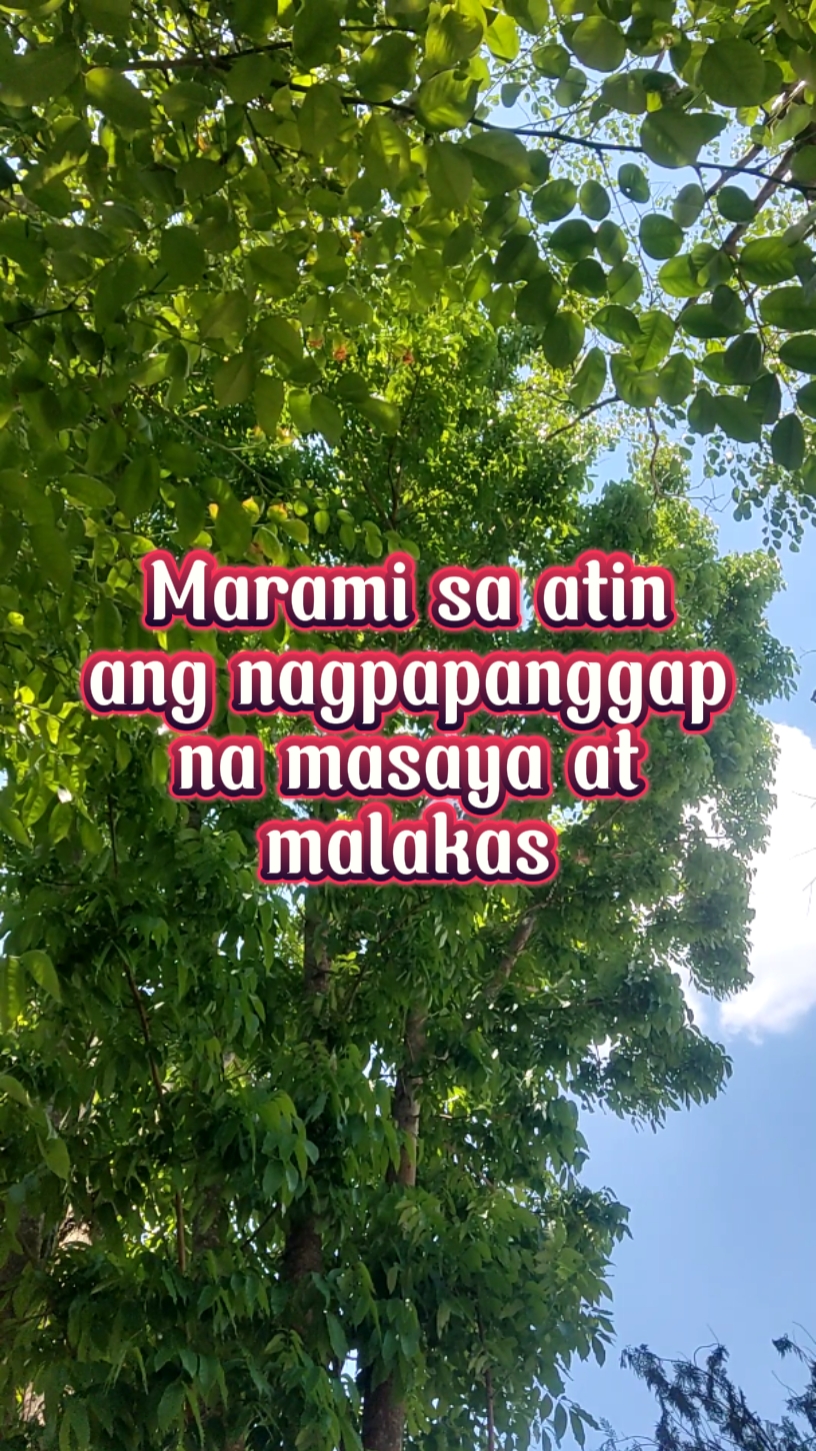 Pekeng ngiti
