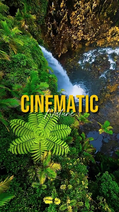 CINEMATIC NATURE