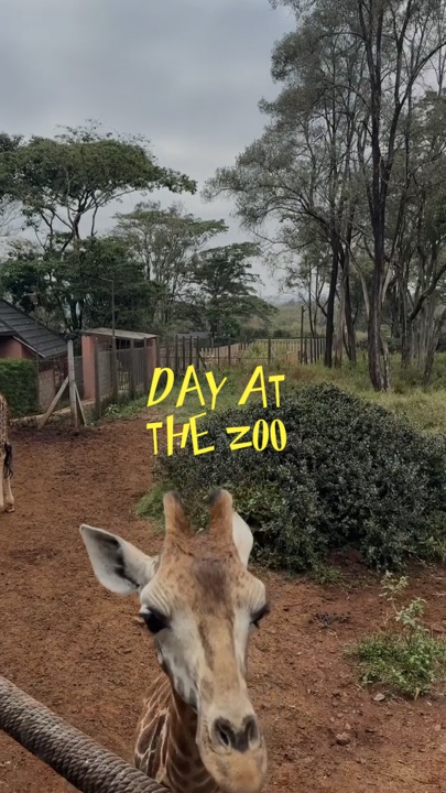 Día en el zoológico