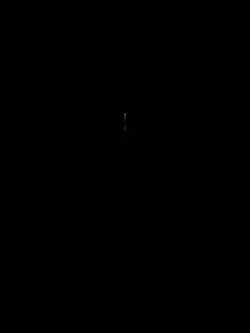 New Trending Edit